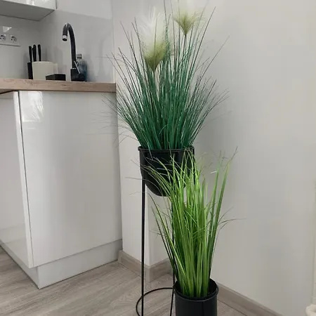 Apartment D&v *