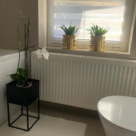 Apartment D&v *