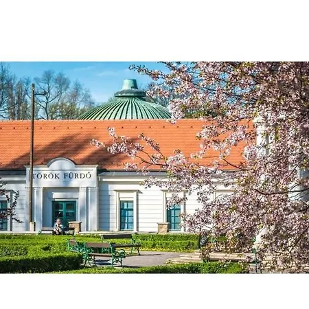D&v * Eger